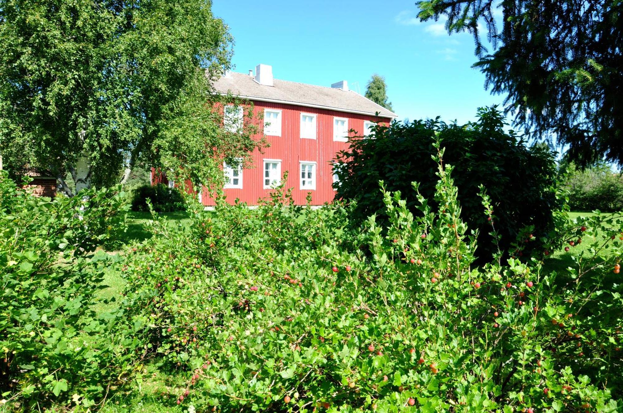 Opintola Bed & Breakfast Norinkylä Exterior foto